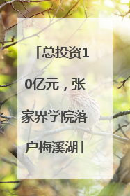 总投资10亿元，张家界学院落户梅溪湖