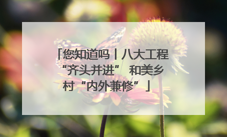 您知道吗丨八大工程“齐头并进” 和美乡村“内外兼修”