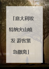 意大利埃特纳火山喷发 游客紧急撤离