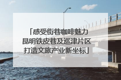 感受街巷咖啡魅力 昆明铁皮巷及巡津片区打造文旅产业新坐标