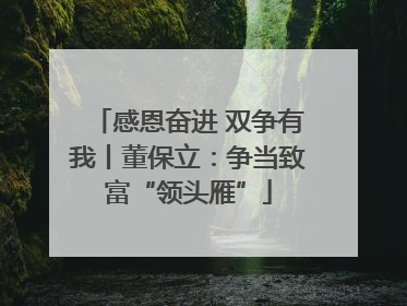 感恩奋进 双争有我丨董保立：争当致富“领头雁”
