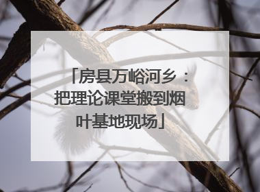 房县万峪河乡：把理论课堂搬到烟叶基地现场