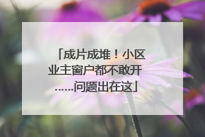 成片成堆！小区业主窗户都不敢开……问题出在这