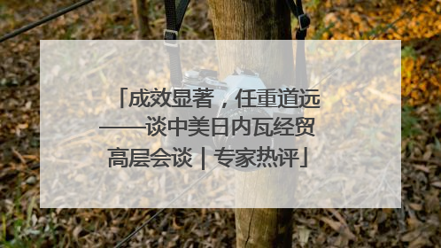 成效显著，任重道远——谈中美日内瓦经贸高层会谈｜专家热评