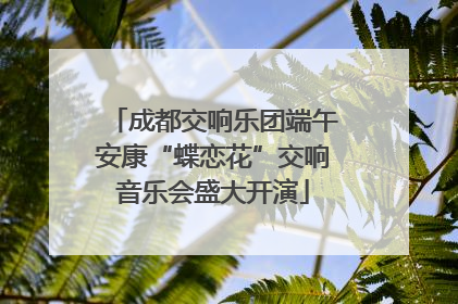 成都交响乐团端午安康“蝶恋花”交响音乐会盛大开演