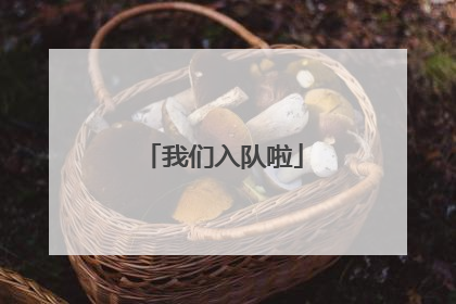 我们入队啦