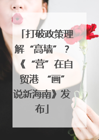 打破政策理解“高墙”？《“营”在自贸港 “画”说新海南》发布