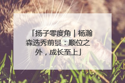 扬子零度角｜杨瀚森选秀前景：顺位之外，成长至上