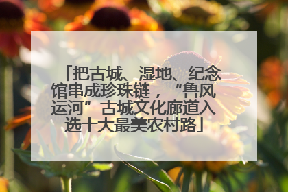 把古城、湿地、纪念馆串成珍珠链，“鲁风运河”古城文化廊道入选十大最美农村路