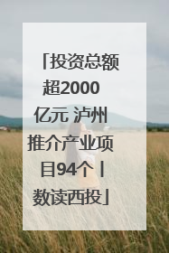 投资总额超2000亿元 泸州推介产业项目94个丨数读西投