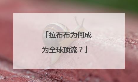 拉布布为何成为全球顶流？