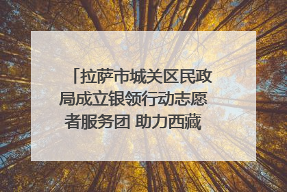 拉萨市城关区民政局成立银领行动志愿者服务团 助力西藏银发经济发展