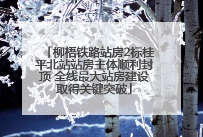 柳梧铁路站房2标桂平北站站房主体顺利封顶 全线最大站房建设取得关键突破