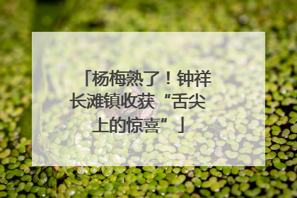 杨梅熟了！钟祥长滩镇收获“舌尖上的惊喜”