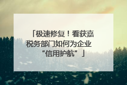 极速修复！看获嘉税务部门如何为企业“信用护航”