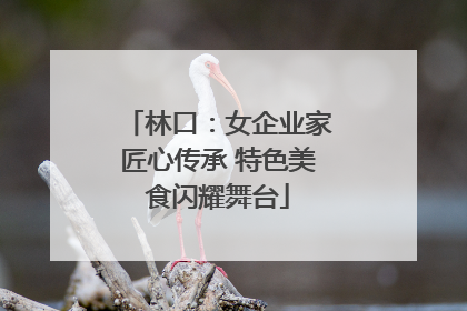 林口：女企业家匠心传承 特色美食闪耀舞台