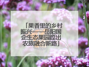 果香里的乡村振兴——岳阳国企生态果园蹚出农旅融合新路