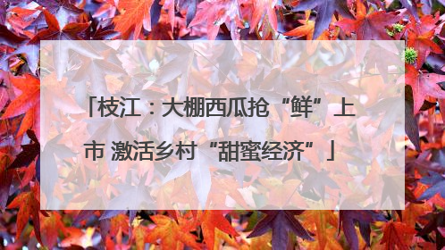 枝江：大棚西瓜抢“鲜”上市 激活乡村“甜蜜经济”