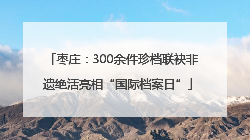 枣庄：300余件珍档联袂非遗绝活亮相“国际档案日”