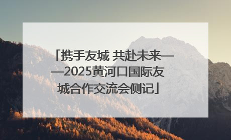 携手友城 共赴未来——2025黄河口国际友城合作交流会侧记