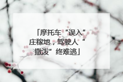 摩托车“误入”庄稼地，驾驶人“撒泼”终难逃