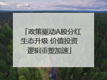 政策驱动A股分红生态升级 价值投资逻辑重塑加速