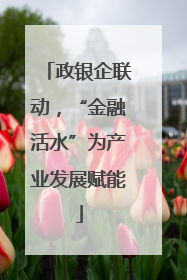 政银企联动，“金融活水”为产业发展赋能