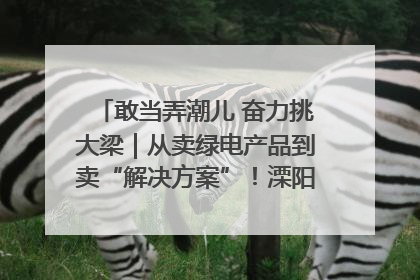 敢当弄潮儿 奋力挑大梁｜从卖绿电产品到卖“解决方案”！溧阳立足产业优势建成五大微电网示范项目