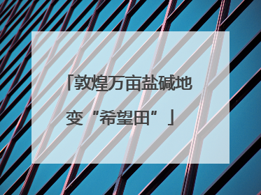 敦煌万亩盐碱地变“希望田”