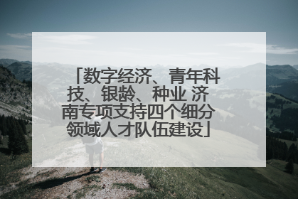 数字经济、青年科技、银龄、种业 济南专项支持四个细分领域人才队伍建设