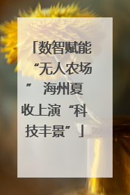 数智赋能“无人农场” 海州夏收上演“科技丰景”