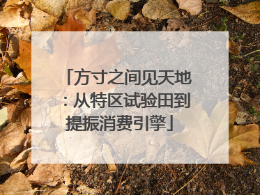 方寸之间见天地：从特区试验田到提振消费引擎
