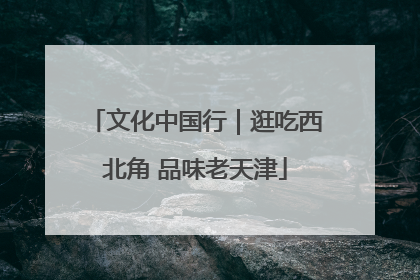 文化中国行｜逛吃西北角 品味老天津