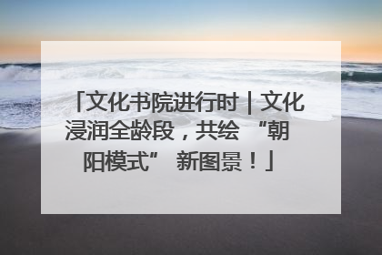 文化书院进行时｜文化浸润全龄段，共绘 “朝阳模式” 新图景！