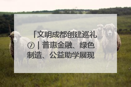 文明成都创建巡礼⑦｜普惠金融、绿色制造、公益助学展现城市文明底色