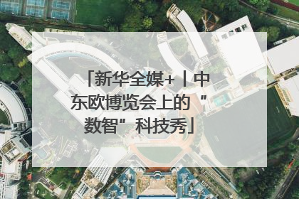 新华全媒+丨中东欧博览会上的“数智”科技秀