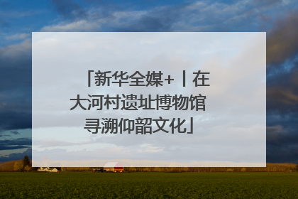 新华全媒+丨在大河村遗址博物馆寻溯仰韶文化