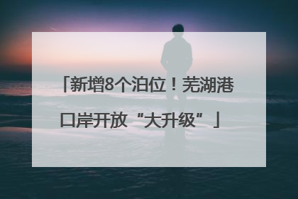 新增8个泊位！芜湖港口岸开放“大升级”
