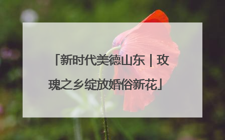 新时代美德山东｜玫瑰之乡绽放婚俗新花