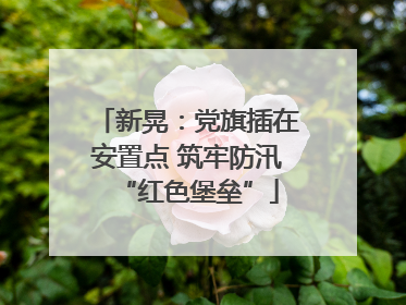 新晃：党旗插在安置点 筑牢防汛“红色堡垒”