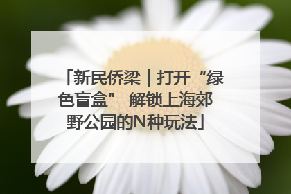 新民侨梁｜打开“绿色盲盒” 解锁上海郊野公园的N种玩法