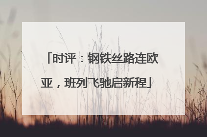 时评：钢铁丝路连欧亚，班列飞驰启新程