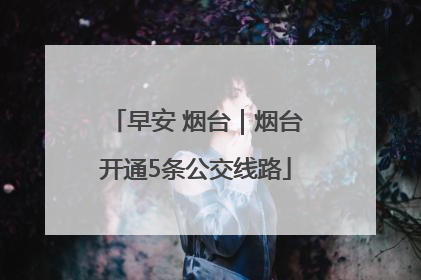 早安 烟台｜烟台开通5条公交线路