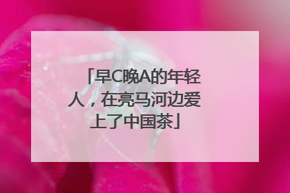 早C晚A的年轻人，在亮马河边爱上了中国茶