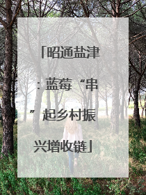 昭通盐津：蓝莓“串”起乡村振兴增收链