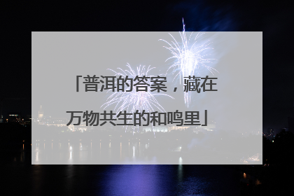 普洱的答案，藏在万物共生的和鸣里