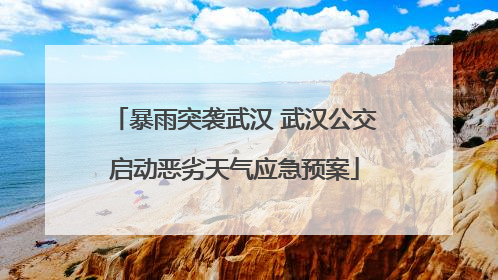 暴雨突袭武汉 武汉公交启动恶劣天气应急预案