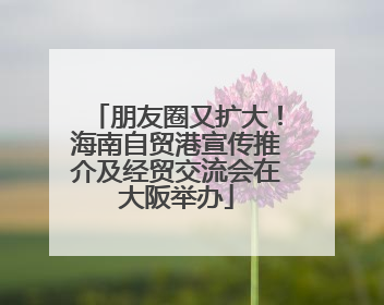 朋友圈又扩大！海南自贸港宣传推介及经贸交流会在大阪举办