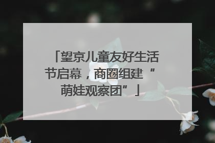 望京儿童友好生活节启幕，商圈组建“萌娃观察团”