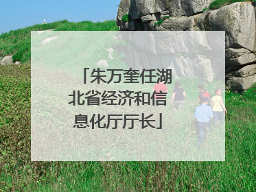 朱万奎任湖北省经济和信息化厅厅长